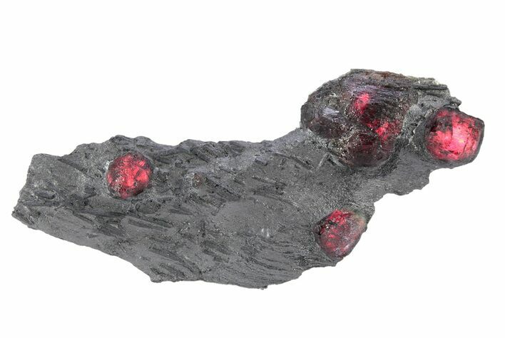 Plate of Four Red Embers Garnets in Graphite - Massachusetts #301136